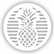 Магнітна вентиляційна решітка "Ананас", (&Oslash; 150 мм.), біла + платформа Ананас білий фото 1