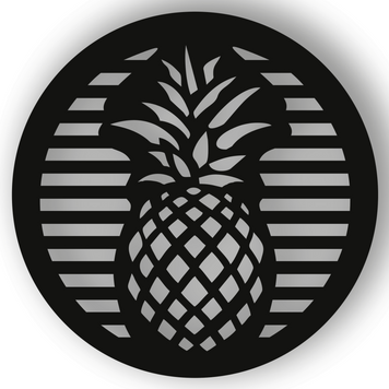 Магнітна вентиляційна решітка "Ананас", (&Oslash; 150 мм.), чорна + платформа Ананас чорний фото