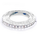 Светодиодная лента BIOM Professional BPS-G3-12-2835-120-CW-20 белый, негерметичная, 1м 00-00014499 фото 1